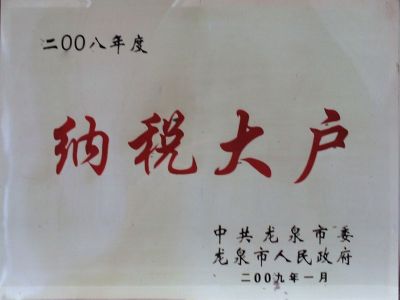 2008年納稅大戶(hù)