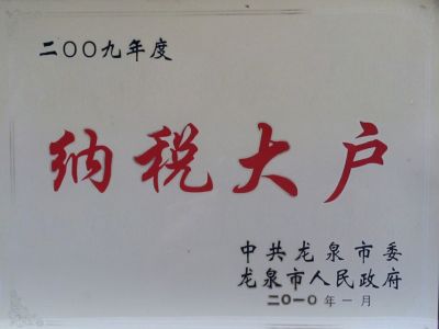 2009年納稅大戶(hù)