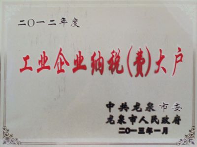 2012年工業(yè)企業(yè)納稅大戶(hù)