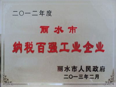 2012年麗水納稅百強企業(yè)