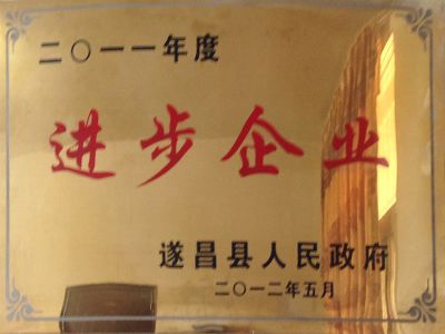 2011年遂昌進(jìn)步企業(yè)